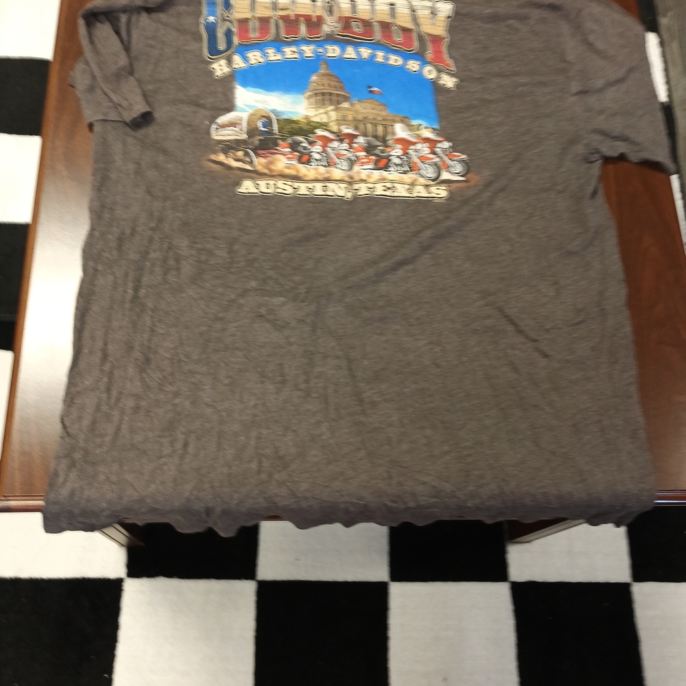 Harley-Davidson Austin Texas Graphic Tee - Brown